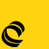 Chromatic Bulletin - 134 Chrome Yellow (Quart)